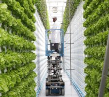 Unlocking Hydroponic Secrets: A Dive into Research Studies